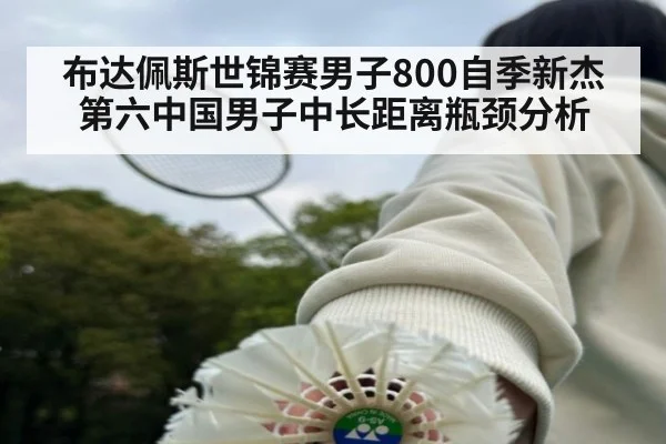布达佩斯世锦赛男子800自季新杰第六中国男子中长距离瓶颈分析