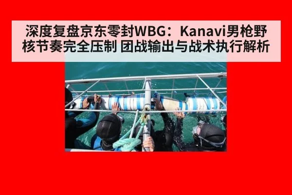 深度复盘京东零封WBG：Kanavi男枪野核节奏完全压制 团战输出与战术执行解析