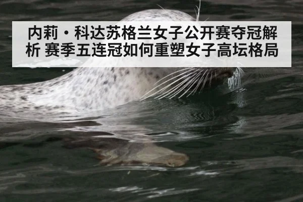 内莉·科达苏格兰女子公开赛夺冠解析 赛季五连冠如何重塑女子高坛格局